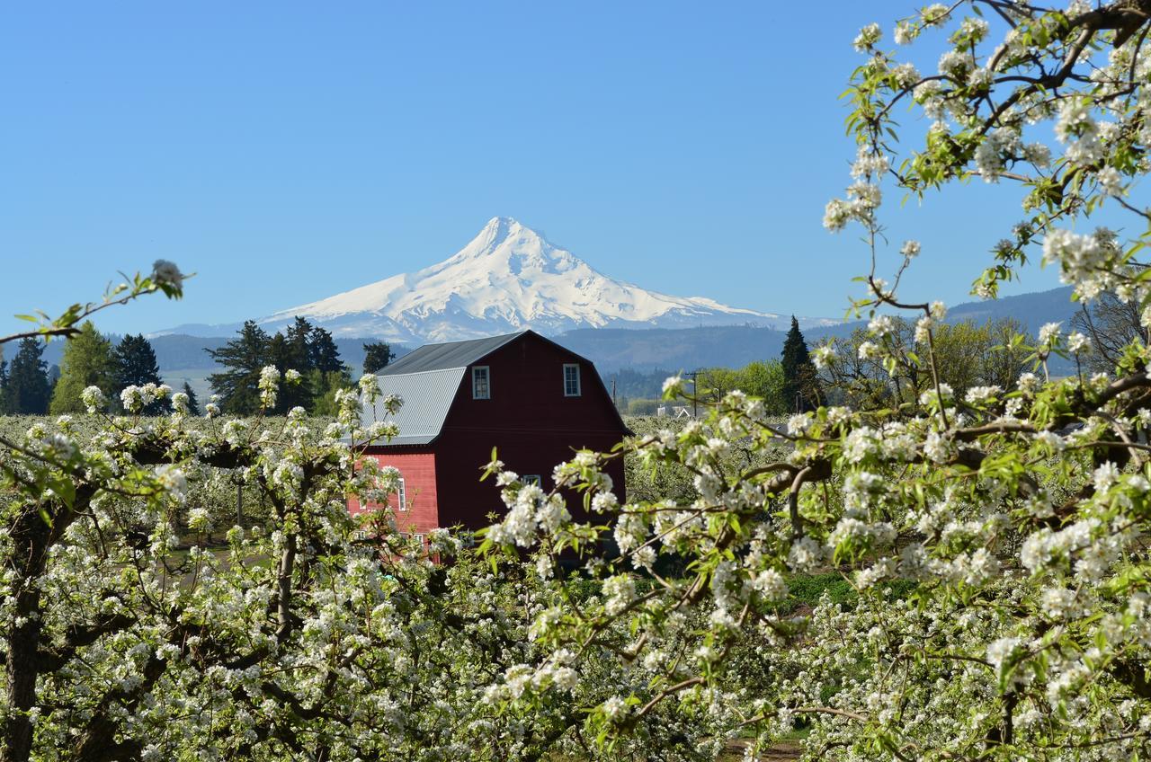 Old Parkdale Inn Bed And Breakfast Hood River Exterior photo